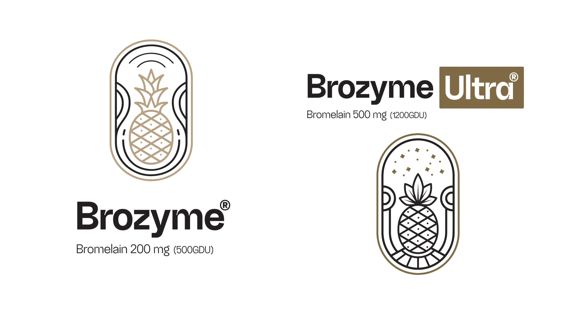 تیزر معرفی مجتمع اداری تجاری پالمیرا