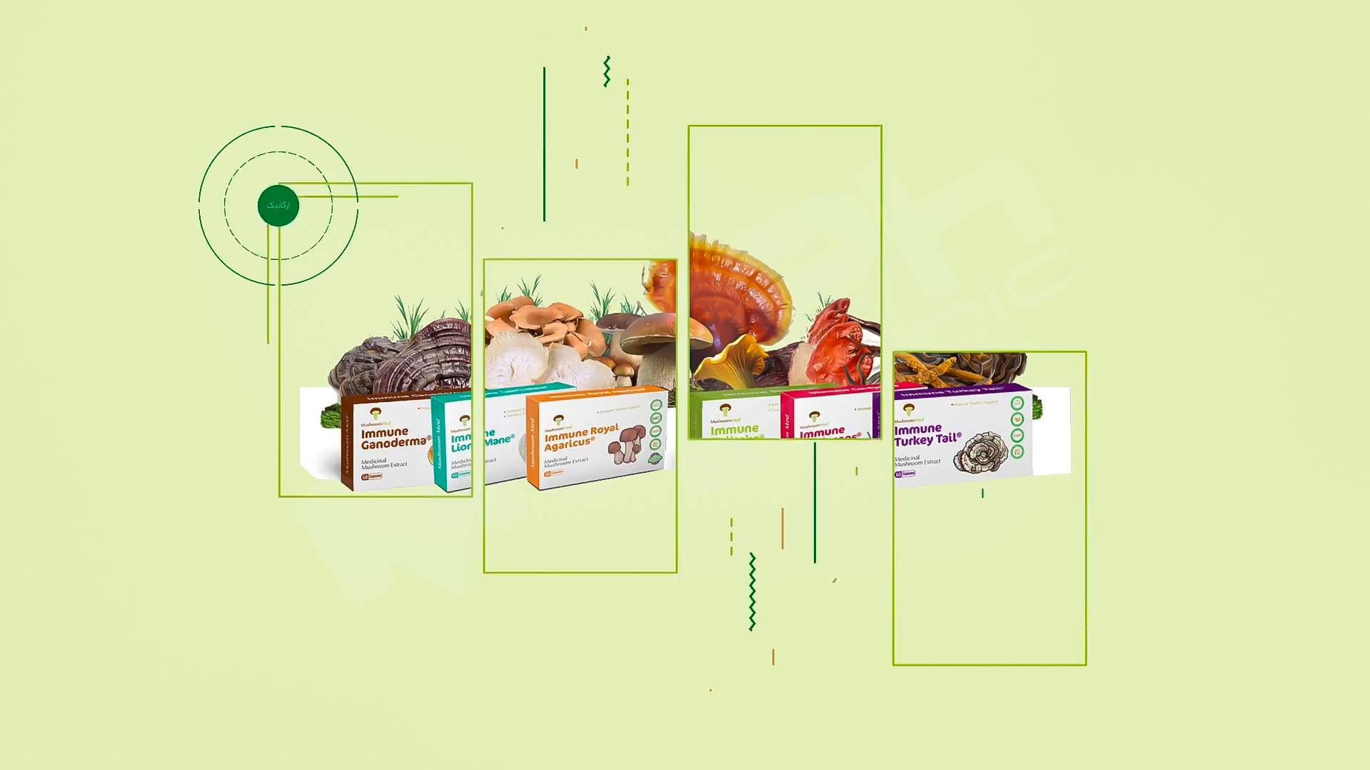 موشن گرافیک معرفی خودرو دیزلی دیما